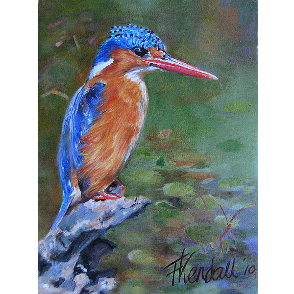 birds img 06