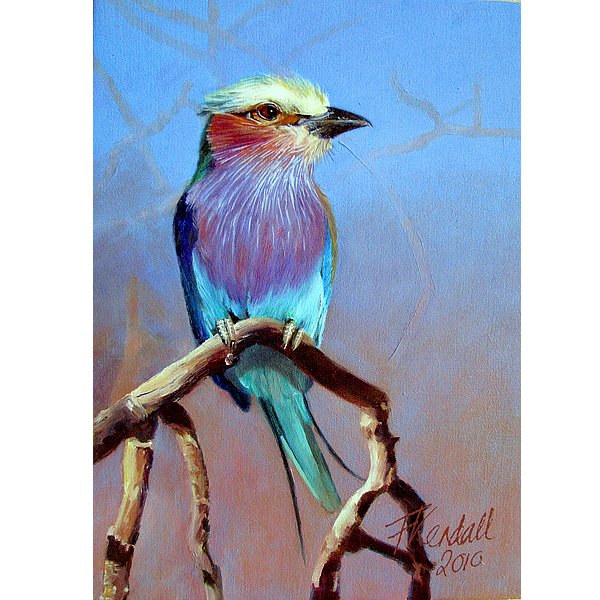 birds img 07