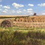 Harvest time