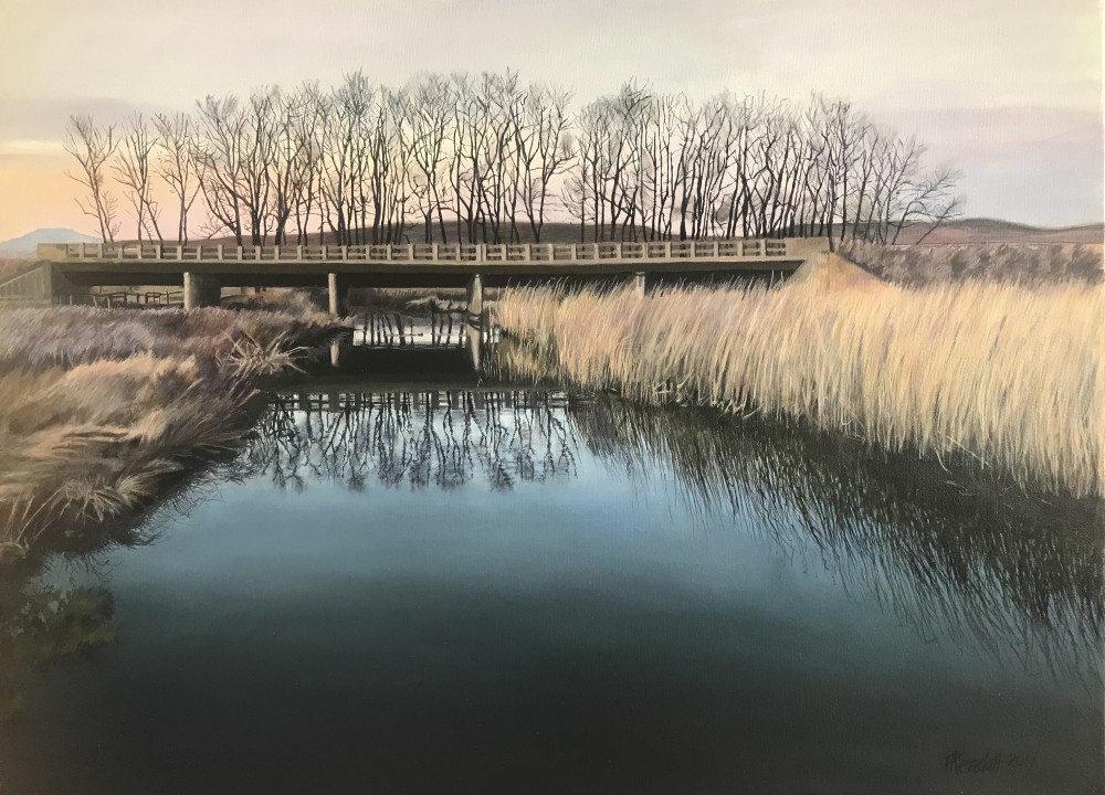 bridge over wetland