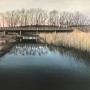 bridge over wetland