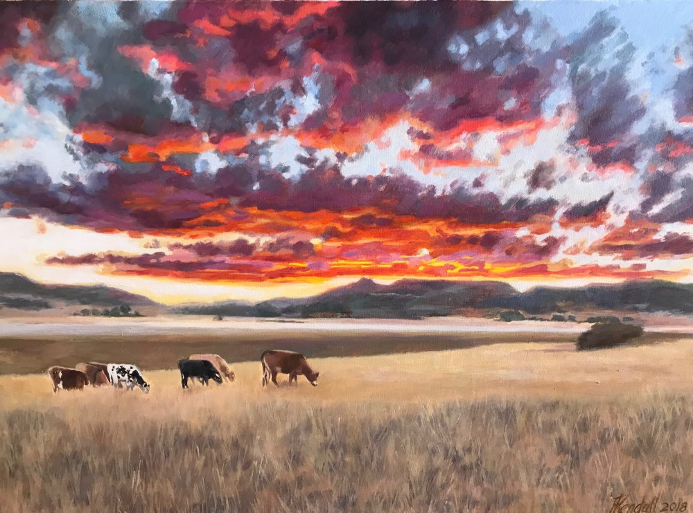 cows at sunset