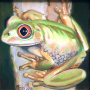 frog img 01