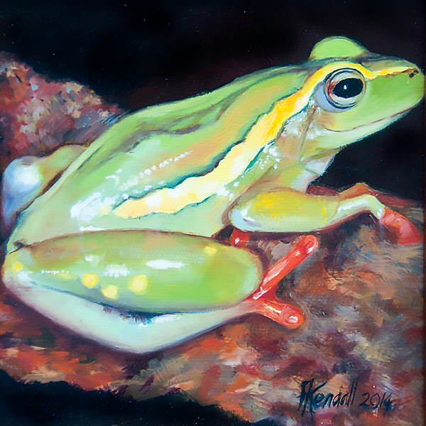 frog img 02