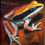 frog img 05