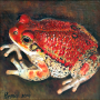 frog img 06